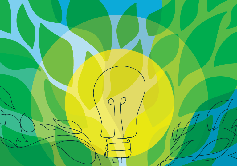 Curiosity in Action for Effective Change