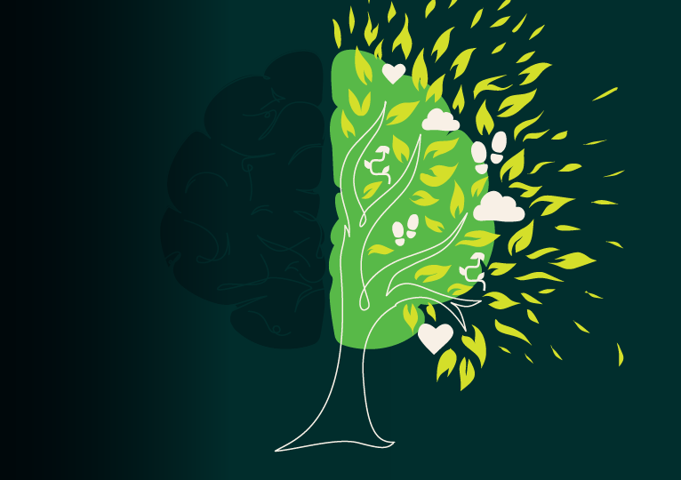 Curiosity as a Compass for Complex Change